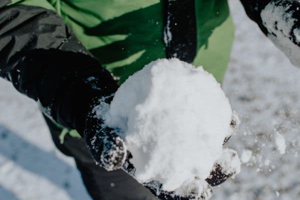 Snowball Prospecting - Prospecting for Leads training session