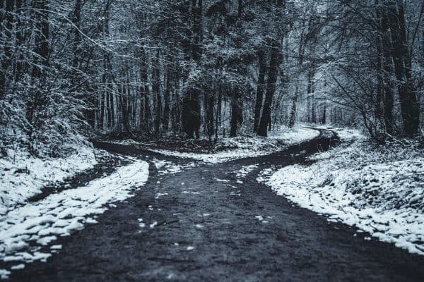 8 Stoic Don'ts for A Better Life From The Daily Stoic - Elements of Mindset training session