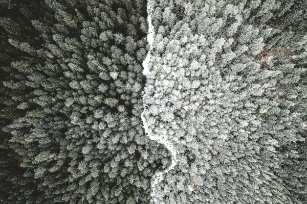 How to Negotiate: Never Split The Difference by Chris Voss - Negotiating training session