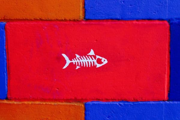 Thumbnail for The Classic & Reverse Fishbone Diagram | A Whiteboard Training Video